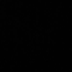 Meet your Posher, Tyriq